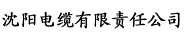 年轻的表妹电缆厂logo